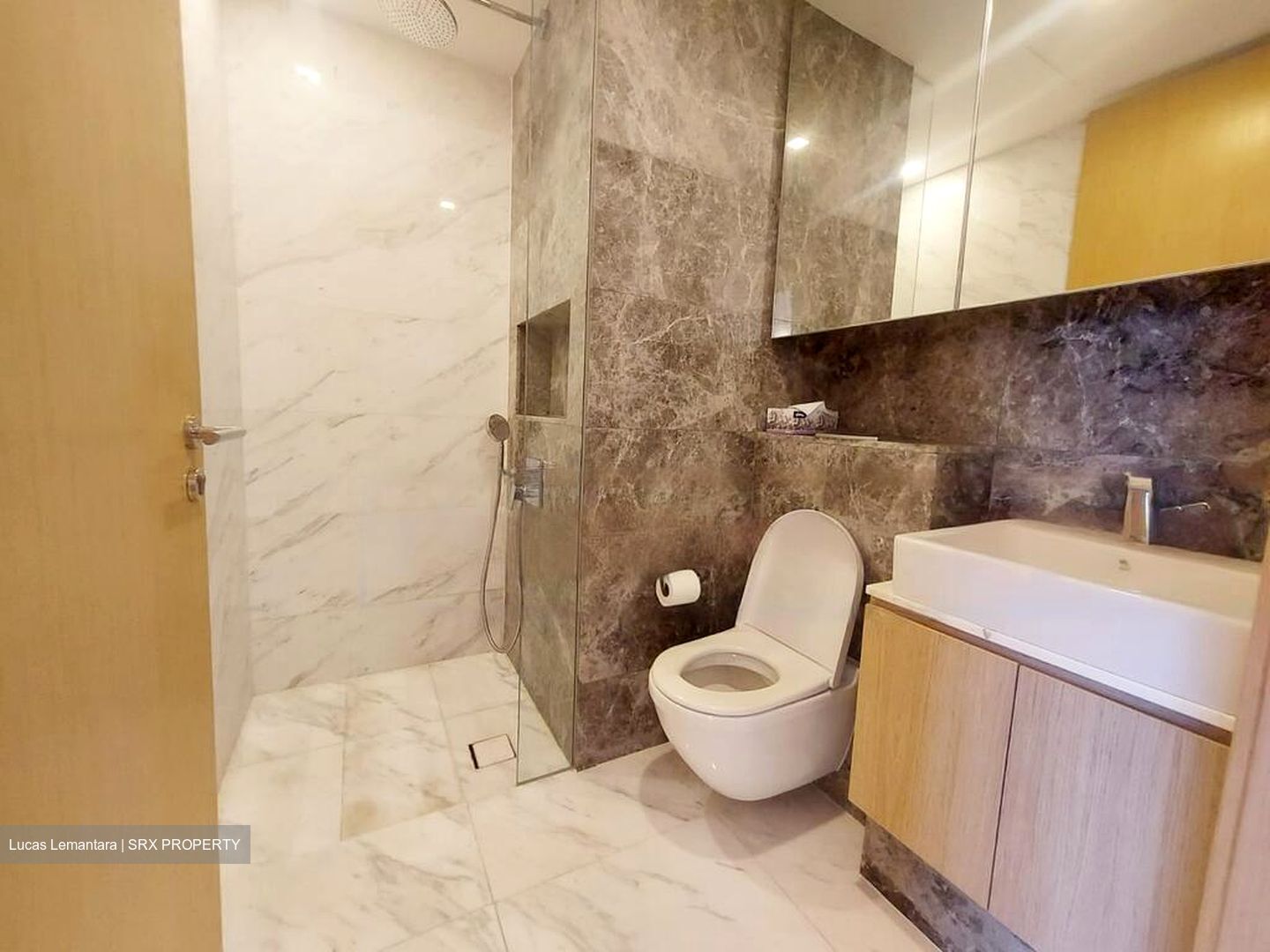 The Peak @ Cairnhill II (D9), Apartment #482025081